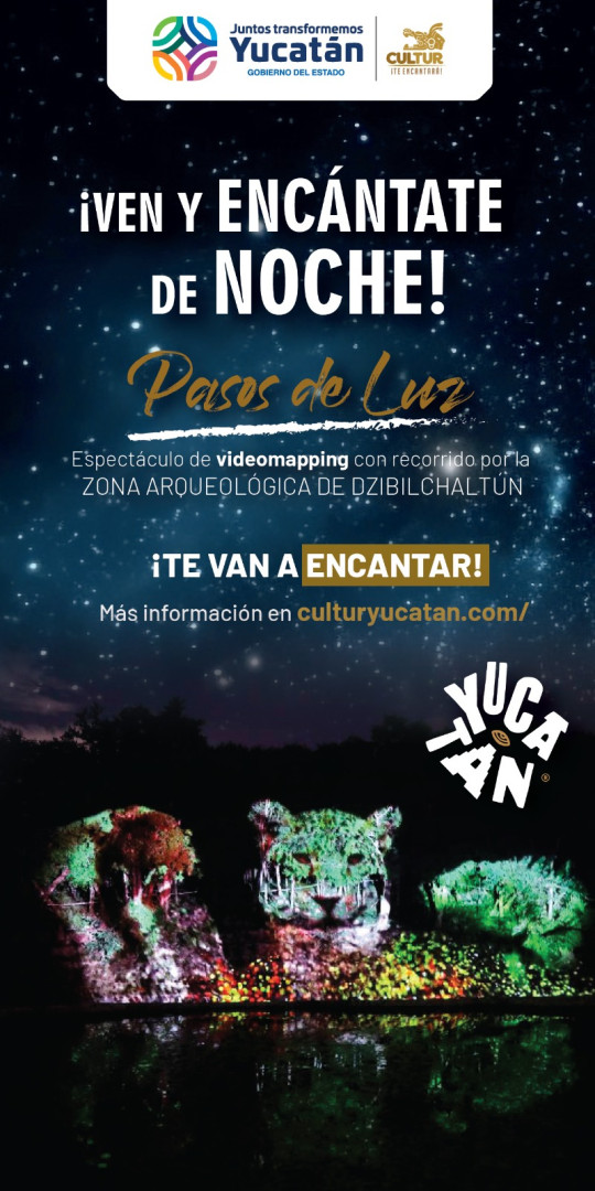 Ven y encantate de noche! 3